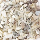  #1 Freshwater Mother of Pearl Aggregates